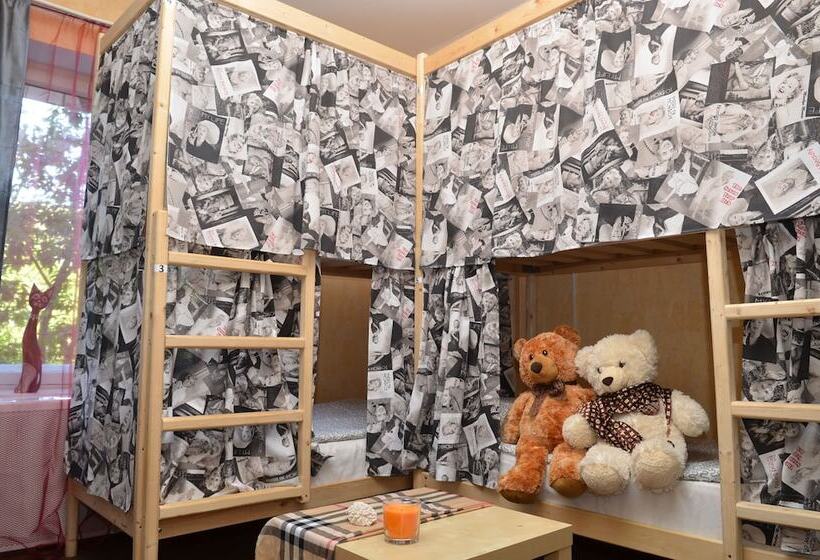 Teddy Hostel