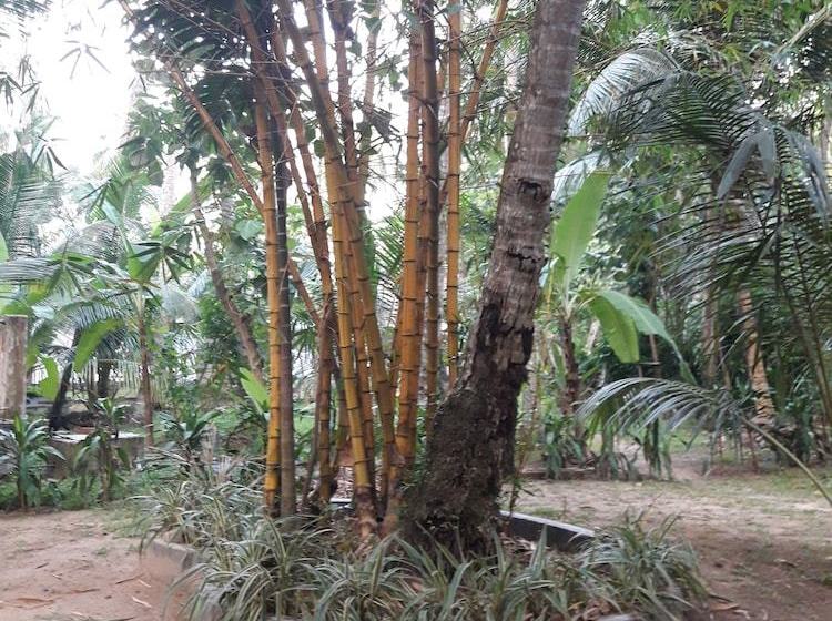 ベッドアンドブレックファースト Airport Pearl Garden Transit