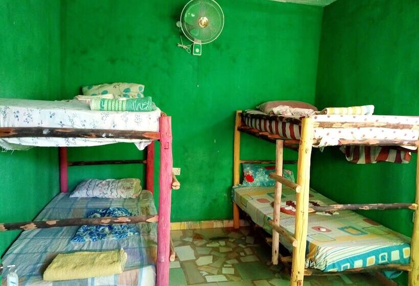 住宿加早餐 Amira S Roomz Zanzibar