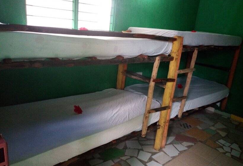 住宿加早餐 Amira S Roomz Zanzibar