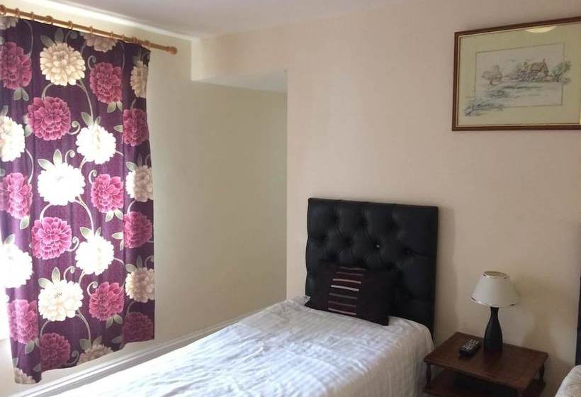 مبيت وإفطار Swan Inn