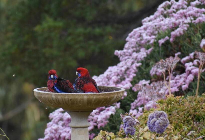 Emu Bay Holiday Homes
