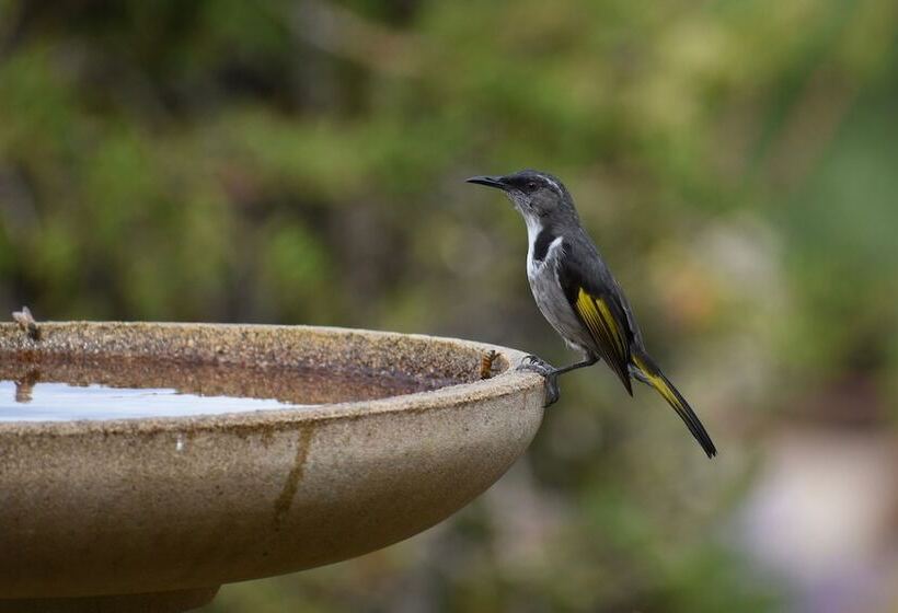 Emu Bay Holiday Homes