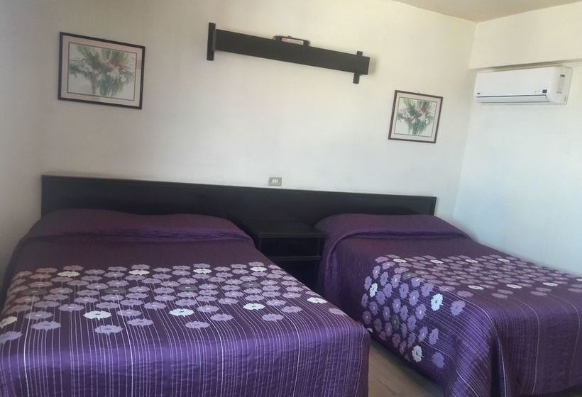 فندق Del Mineral S.a