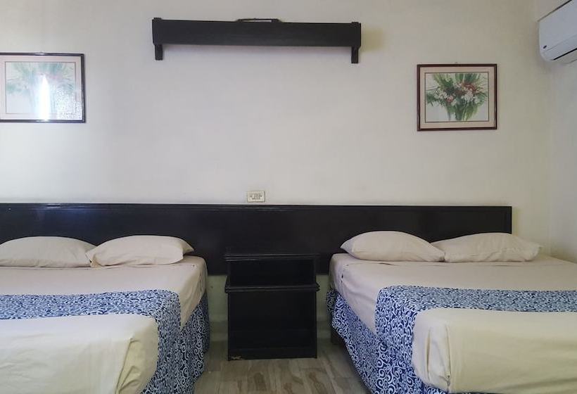 فندق Del Mineral S.a