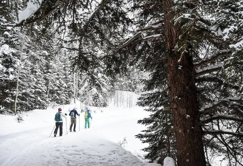 Отель Eleven Taylor River Lodge