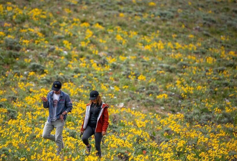 Отель Eleven Taylor River Lodge