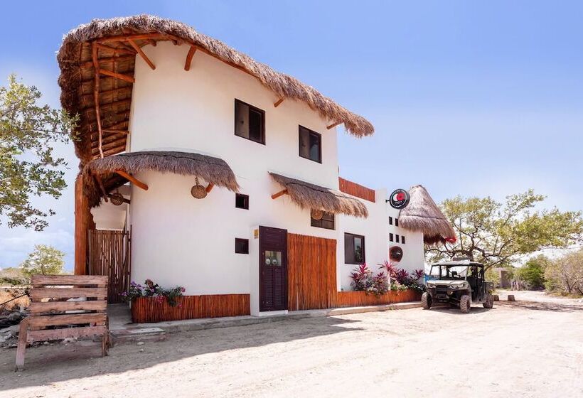 هتل Mis Sueños Holbox