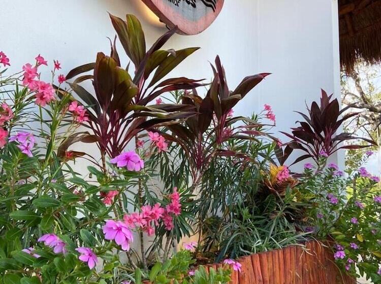 فندق Mis Sueños Holbox