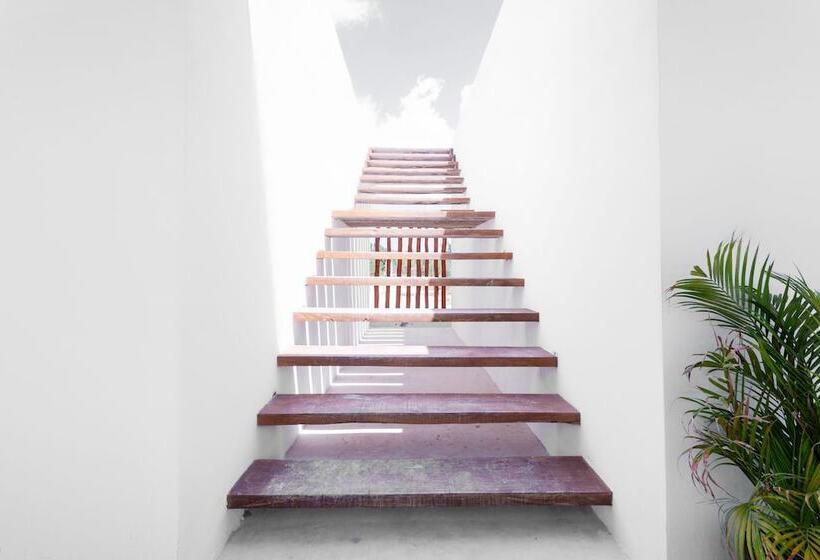 فندق Mis Sueños Holbox