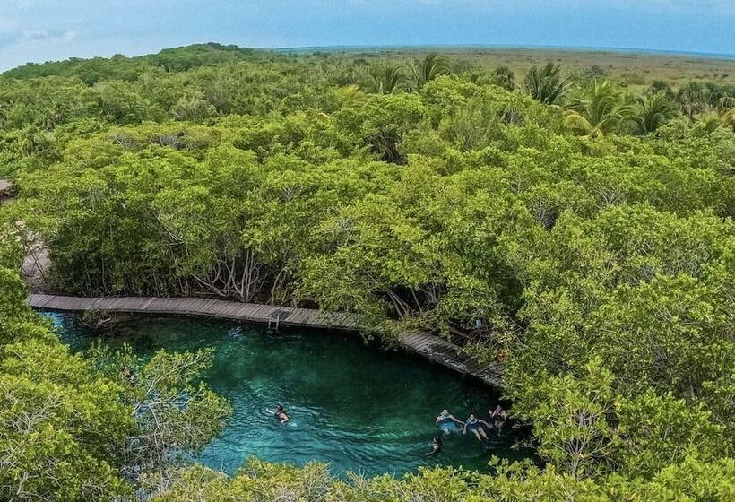 فندق Mis Sueños Holbox
