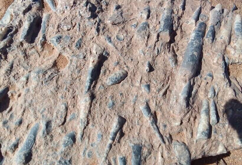 Hotel Titanic Iriki Hôtel Restaurant