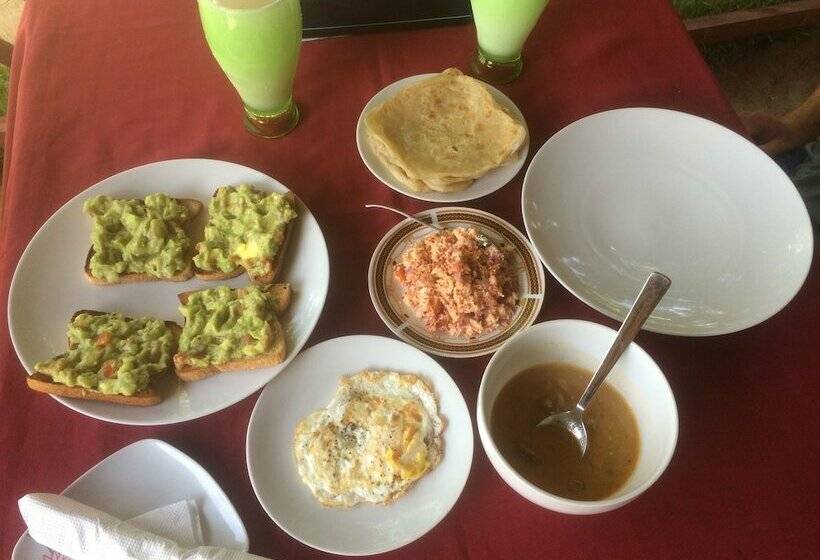 膳宿费 Summer Cottage