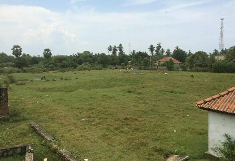 膳宿费 Summer Cottage