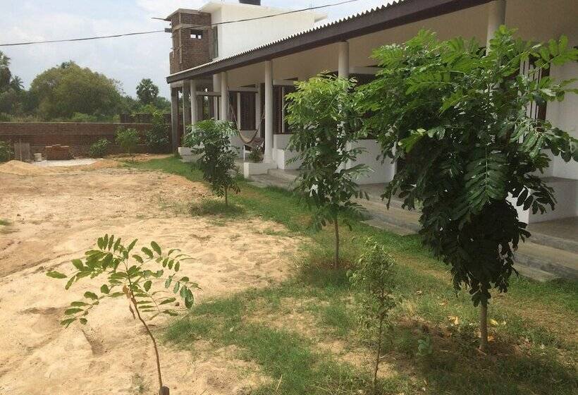 膳宿费 Summer Cottage