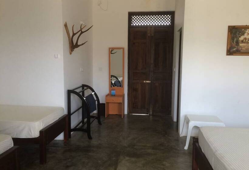 膳宿费 Summer Cottage