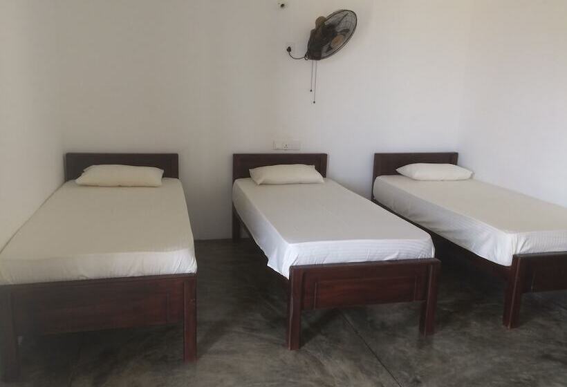 膳宿费 Summer Cottage