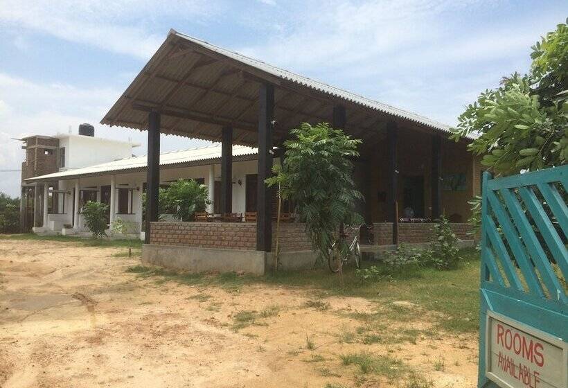 膳宿费 Summer Cottage