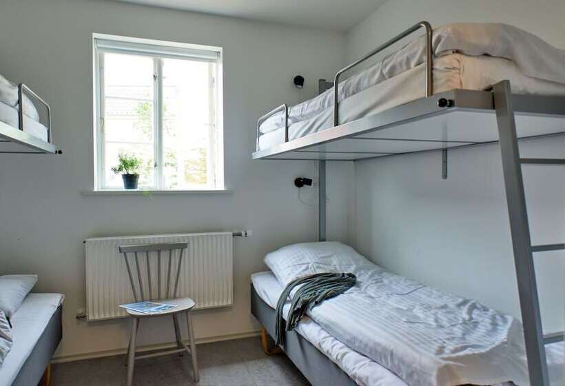 簡易ホテル Faaborg Vandrehjem