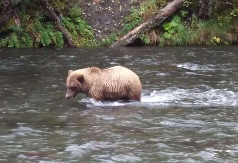 Gwin S Lodge & Roadhouse