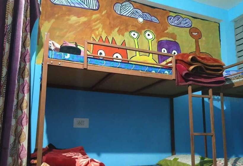 Highland Gojh Kasol   Hostel