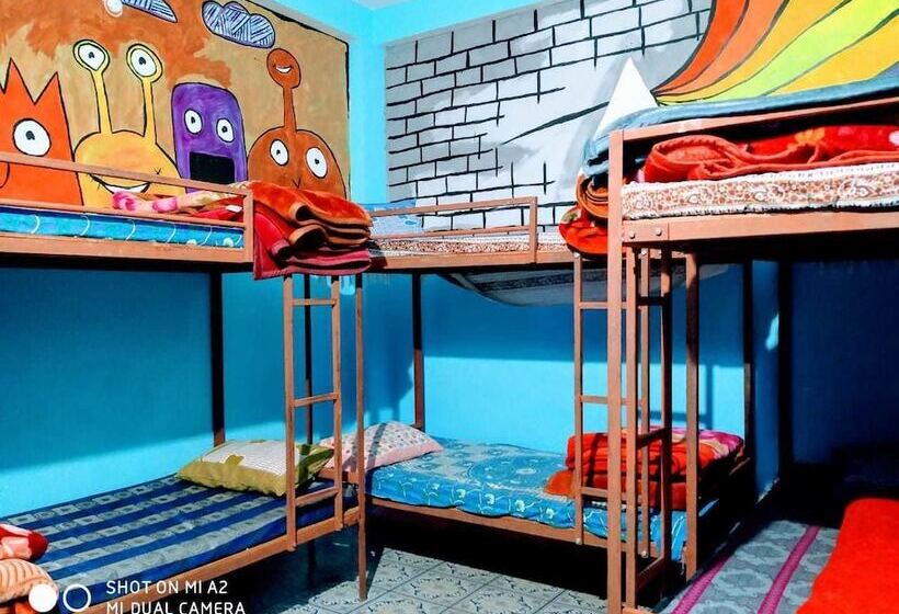 Highland Gojh Kasol   Hostel