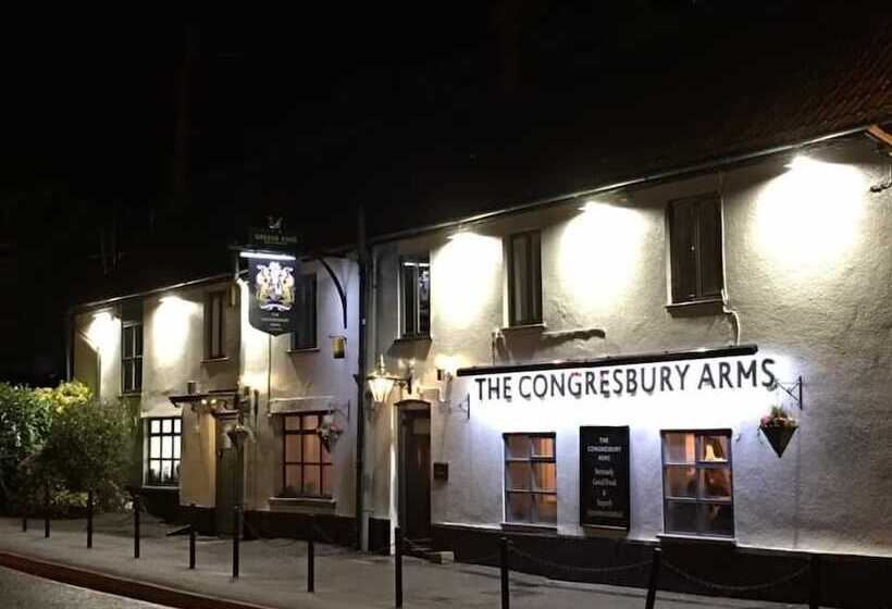 فندق فئة نجمة واحدة The Congresbury Arms