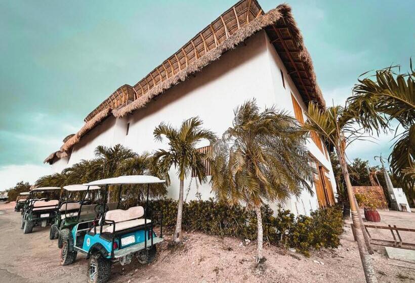 فندق Casa Margot