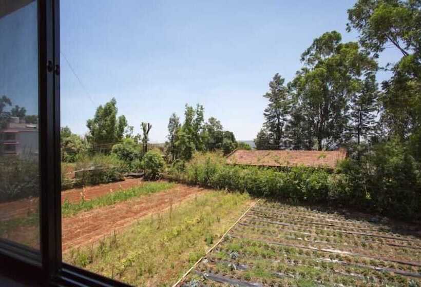 Отель Paradise Holiday Resort