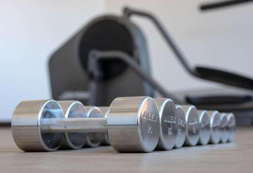 酒店 Park Inn By Radisson Los Olivos De Vallenar