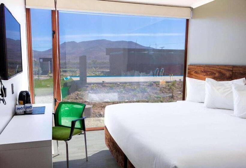 酒店 Park Inn By Radisson Los Olivos De Vallenar