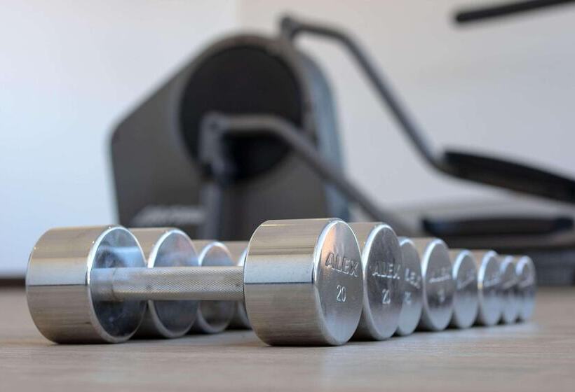 酒店 Park Inn By Radisson Los Olivos De Vallenar