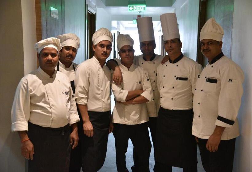 Hotel Vlm Grand Placid