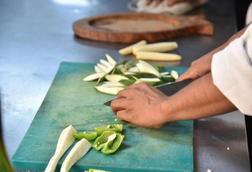 Hotel Vlm Grand Placid