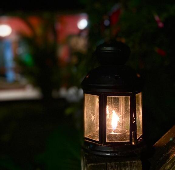 בית מלון כפרי Pousada Fasani