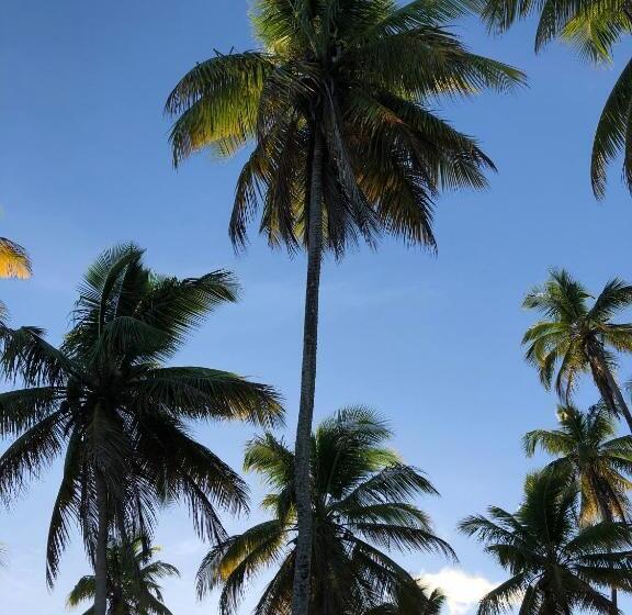 בית מלון כפרי Pousada Fasani