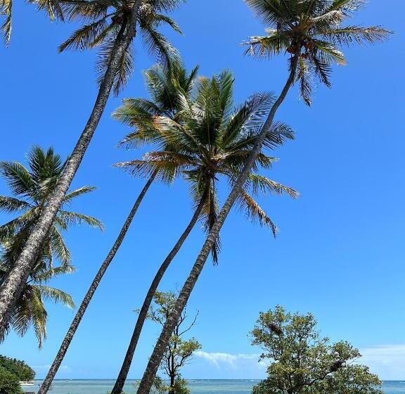 בית מלון כפרי Pousada Fasani