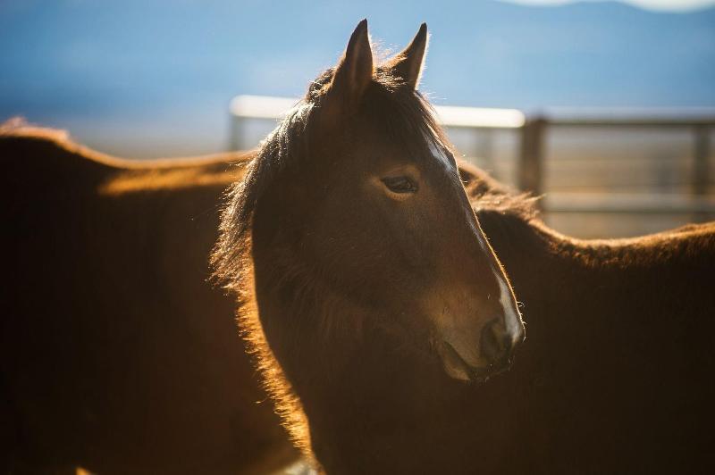 מוטל Amargosa Opera House &