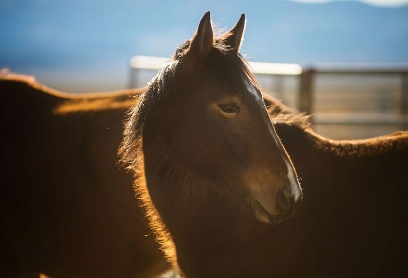 מוטל Amargosa Opera House &