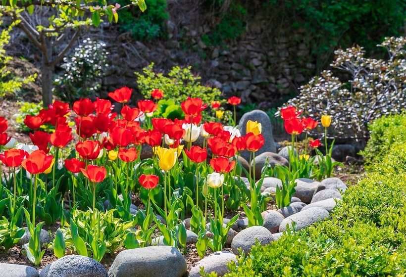 Namhae Gagopa Pension