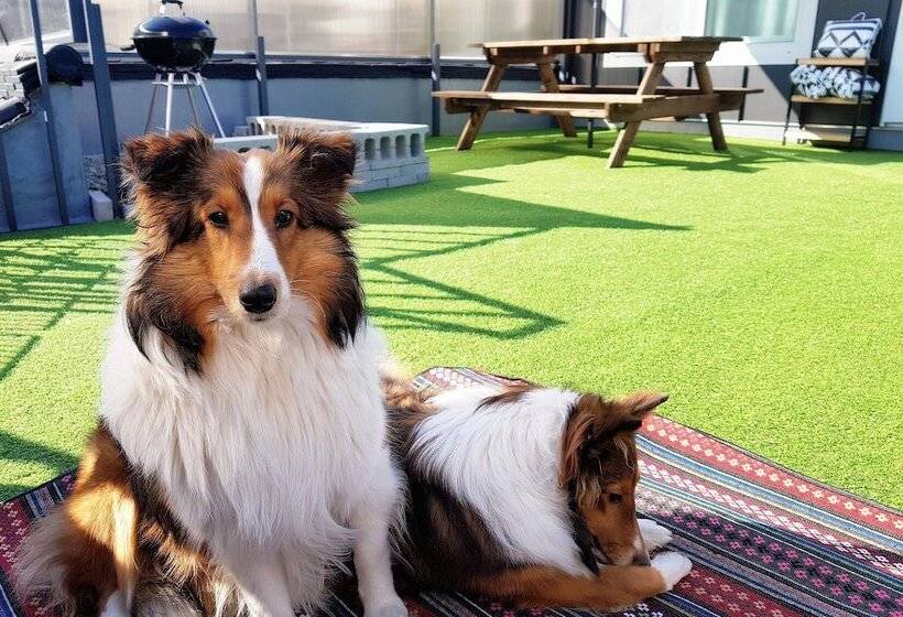 Zibro H Guesthouse Hostel