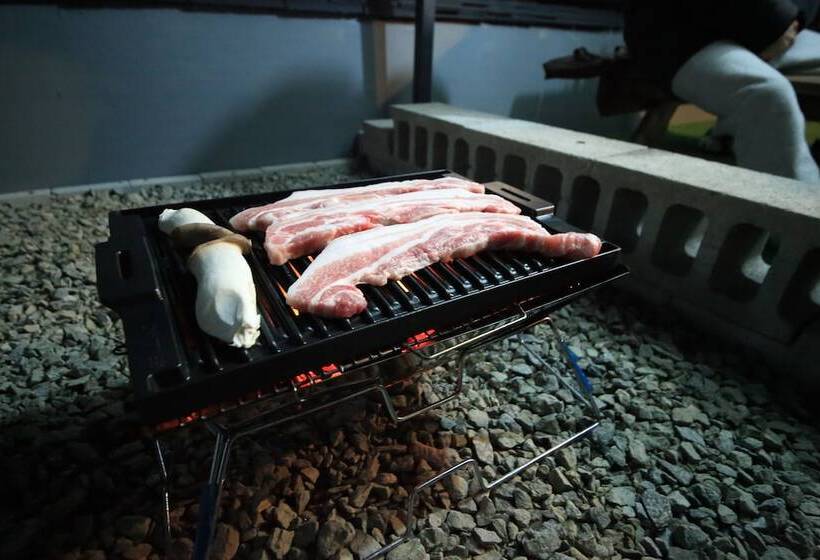 Zibro H Guesthouse Hostel