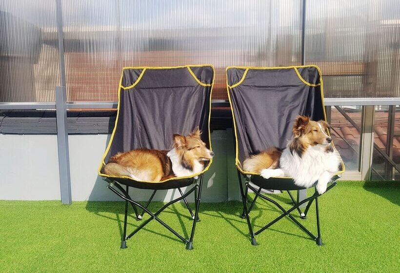 Zibro H Guesthouse Hostel