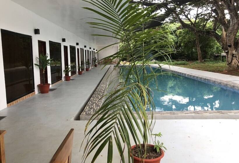 Alesseo Backpackers   Hostel