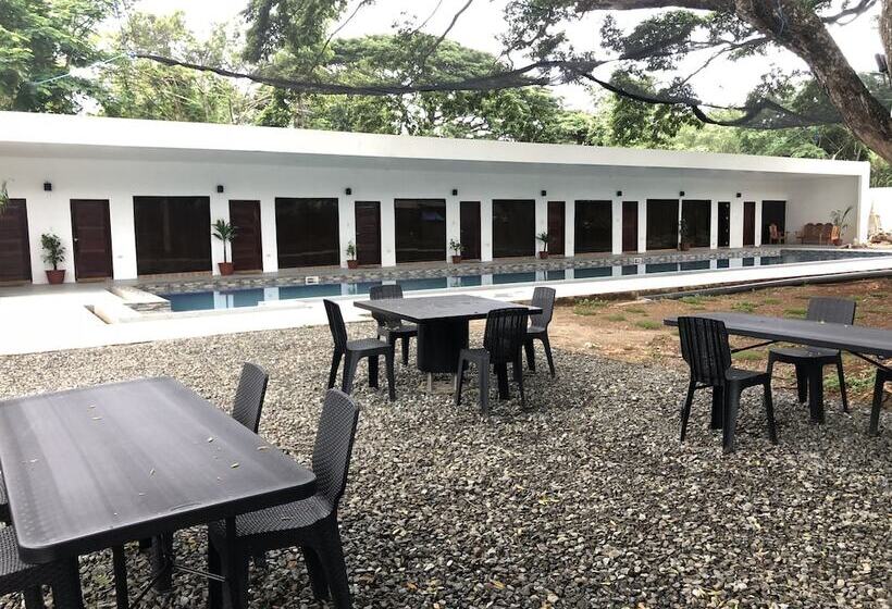 Alesseo Backpackers   Hostel