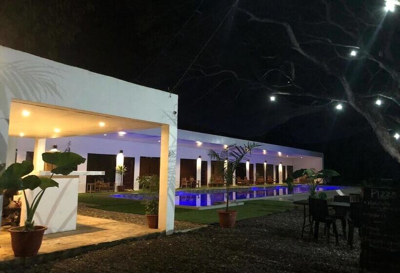 Alesseo Backpackers   Hostel