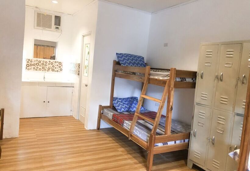 Alesseo Backpackers   Hostel