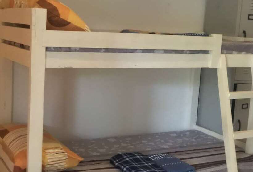 Alesseo Backpackers   Hostel