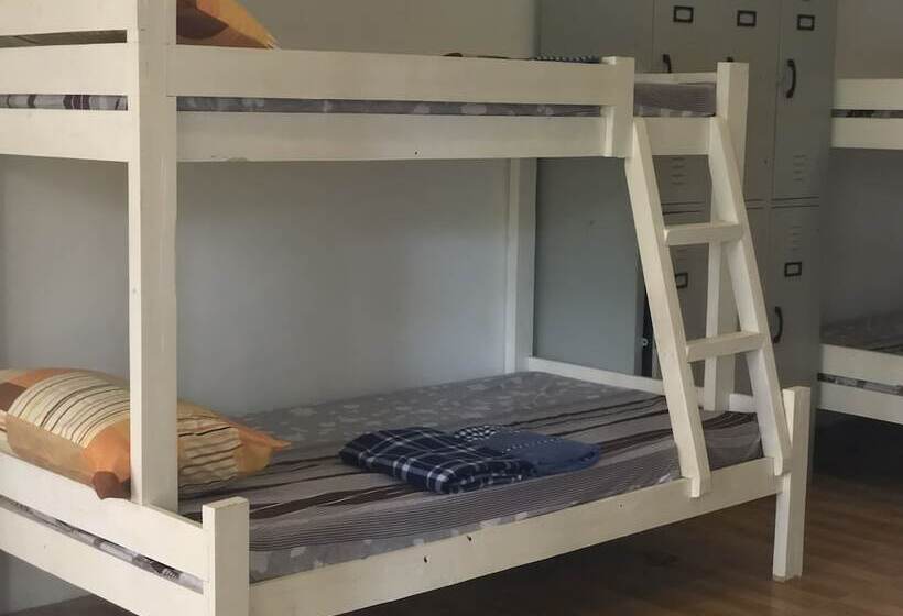 Alesseo Backpackers   Hostel