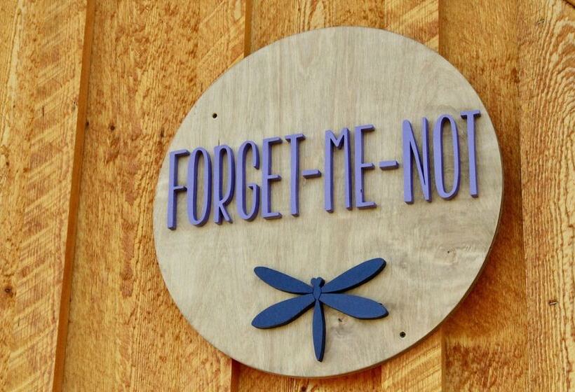 Arctic Dragonfly Inn